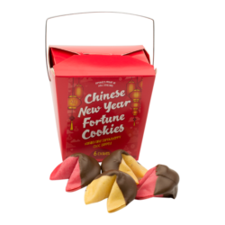 Chinese New Year Noodle Box