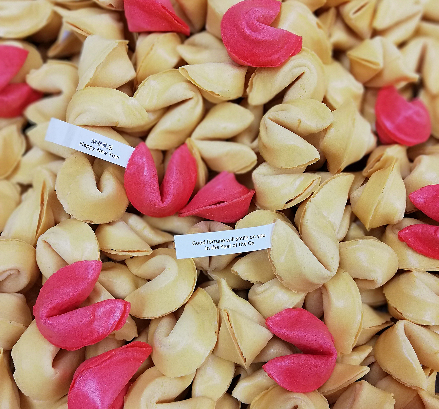 Chinese New Year (100)